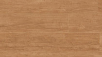 Creation 70 0262 Elm фото 1 | FLOORDEALER